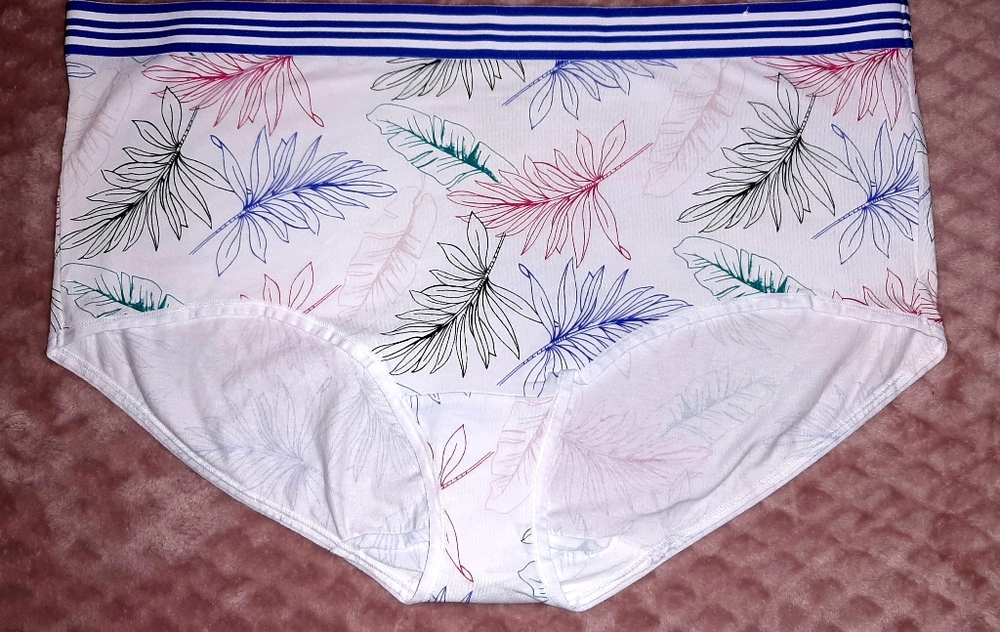 NWOT 💖 Cacique Cotton Full Brief